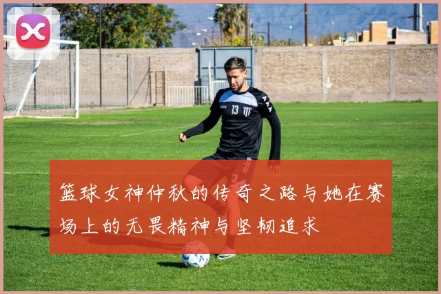 篮球女神仲秋的传奇之路与她在赛场上的无畏精神与坚韧追求