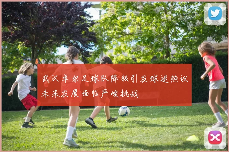 武汉卓尔足球队降级引发球迷热议未来发展面临严峻挑战
