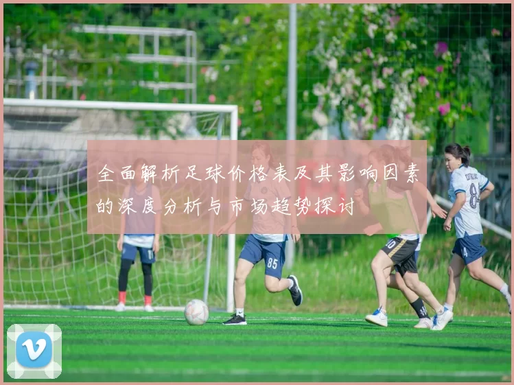 全面解析足球价格表及其影响因素的深度分析与市场趋势探讨