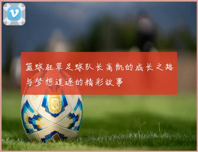 篮球狂草足球队长高凯的成长之路与梦想追逐的精彩故事